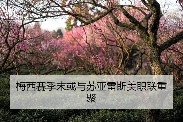 梅西赛季末或与苏亚雷斯美职联重聚